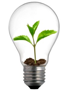 Sprout_Lightbulb
