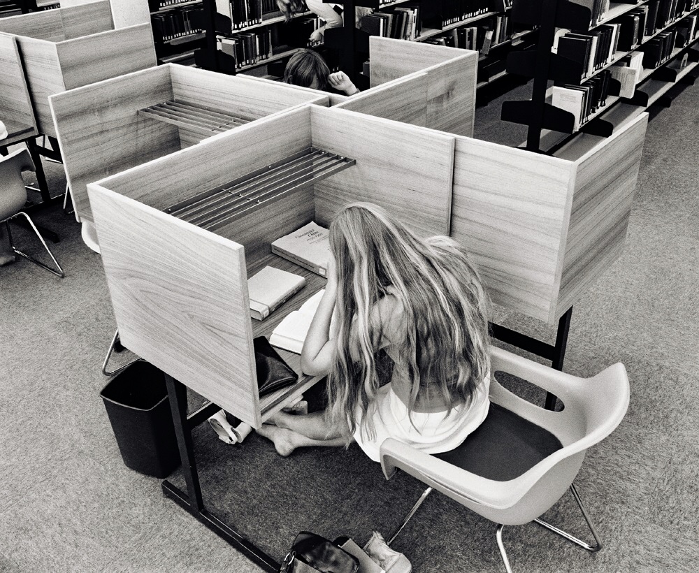 Study Carrel in Nathan Library